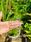 Premium diamond finish openable bracelet product code B40